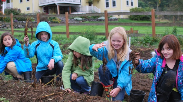 Children on a field trip to a farm on Bainbridge Island