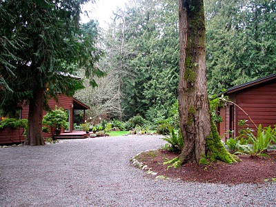 5150 NE North Tolo Road on Bainbridge Island 5150 NE North Tolo Road on Bainbridge Island