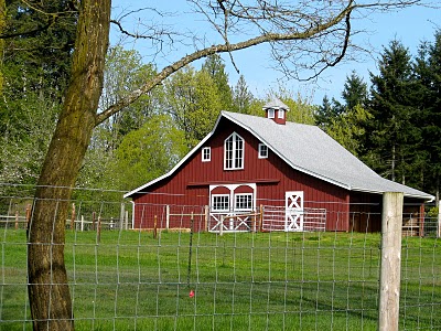A barn in the Rolling Bay Neighborhood on Bainbridge Island