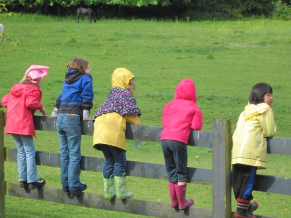 Boundy Farm on Bainbridge Island Things to do with kids on Bainbridge Island