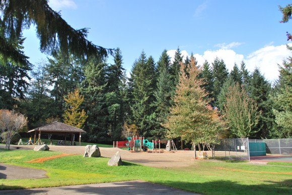 The new play structure at Eagledale Park on Bainbridge Island Play structure with covered picnic area.