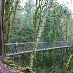 Suspension Bridge at IsandWood on Bainbridge Island