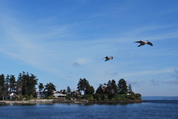 View of Wing Point on Bainbridge from the Bainbridge Island Ferry. View of Wing Point on Bainbridge from the Bainbridge Island Ferry.