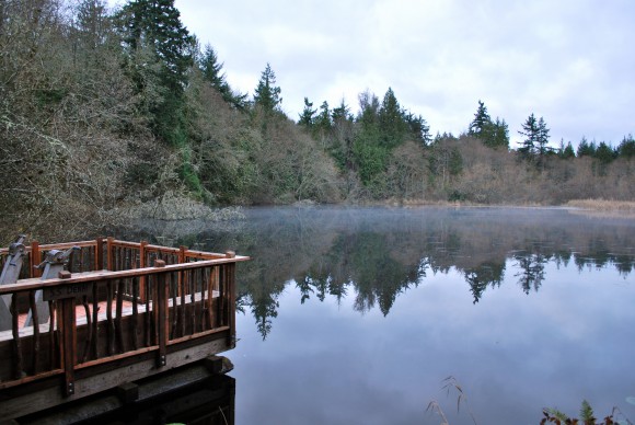 Mac's Pond at IslandWood on Bainbridge Island. Photo by Jen Pells Mac's Pond at IslandWood on Bainbridge Island. Photo by Jen Pells