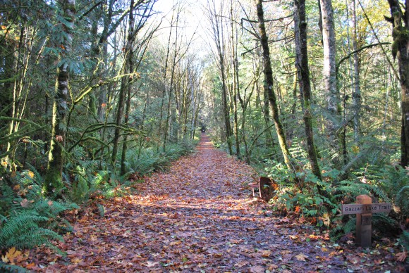 Gazzam Lake Trail, A BILT Acquisition Gazzam Lake Trail, A BILT Acquisition