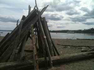 IMG_0535 Lytle Beach on Bainbridge Island