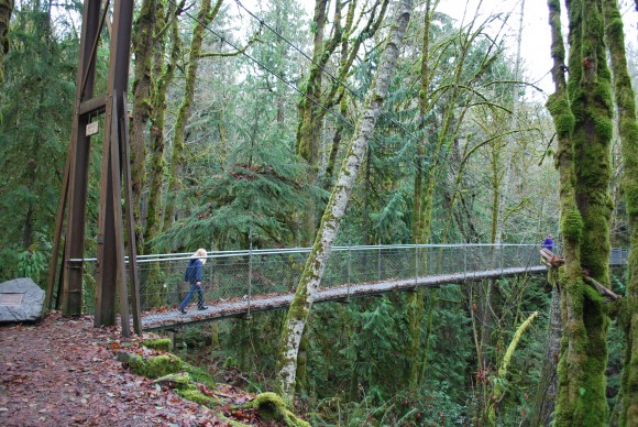 The Suspension Bridge at IslandWood on Bainbridge Island The Suspension Bridge at IslandWood on Bainbridge Island