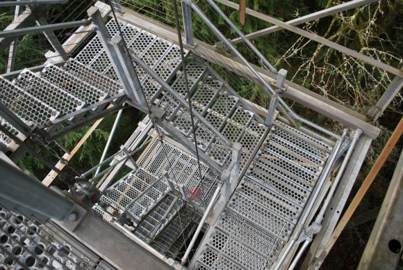 Forest Canopy Observation Tower - IslandWood Forest Canopy Observation Tower - IslandWood