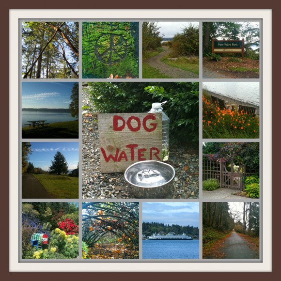 Fort Ward Walk collage - Jen Pells Fort Ward Walk collage - Jen Pells
