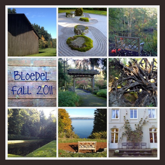 Bloedel Collage - by Jen Pells Bloedel Collage - by Jen Pells