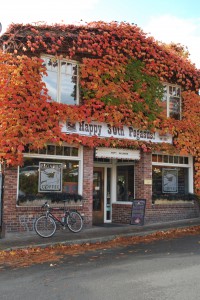 Fall on Bainbridge Island | Jen Pells | Realtor Fall on Bainbridge Island | Jen Pells | Realtor