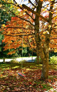 Fall on Bainbridge Island | Jen Pells | Realtor Fall on Bainbridge Island | Jen Pells | Realtor