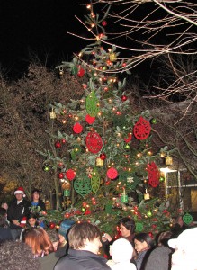 Winslow Holiday Tree Winslow Holiday Tree