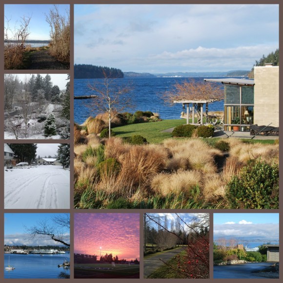 Winter 2012 on Bainbridge Island Winter 2012 on Bainbridge Island