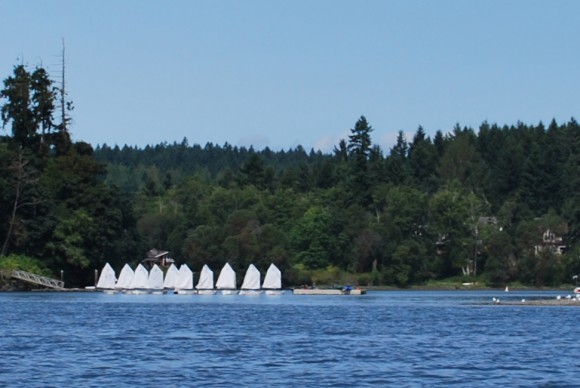 Summer on Bainbridge Island | Jen Pells Windermere Realtor Summer on Bainbridge Island | Jen Pells Windermere Realtor