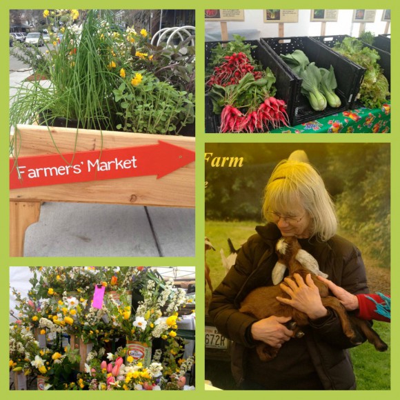 Bainbridge Island Farmer's Market 2013 Bainbridge Island Farmer's Market collage by Jen Pells