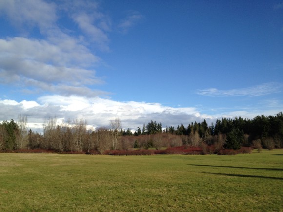 Building on Bainbridge Island by Jen Pells