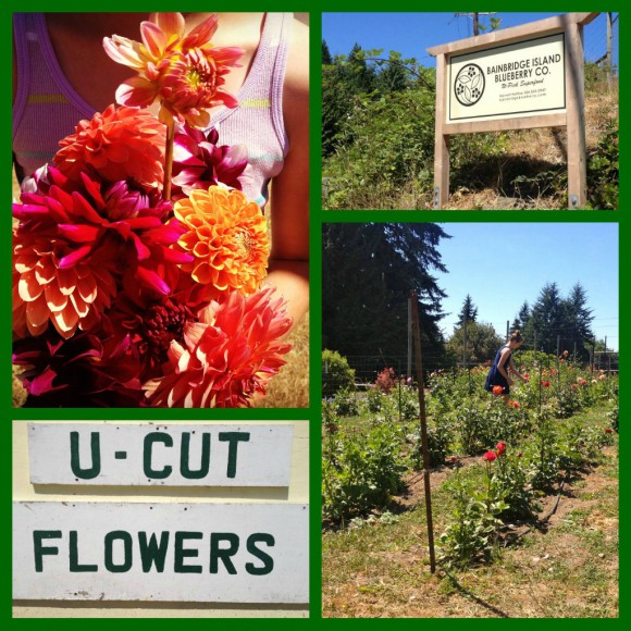 U-Pick Flowers Bainbridge by Jen Pells