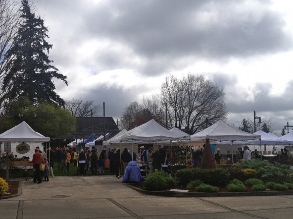 Farmer's Market on Bainbridge Island.