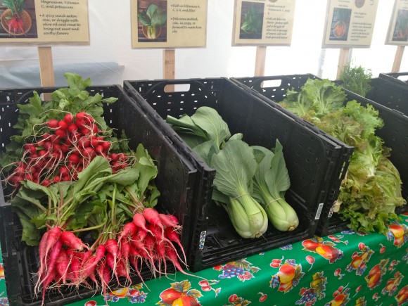 Farmer's Market Bounty on Bainbridge Island.
