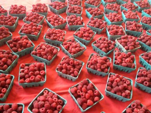 Raspberries on Bainbridge Island