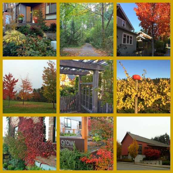 Bainbridge Fall 2013 Collage by Jen Pells Bainbridge Fall 2013 Collage