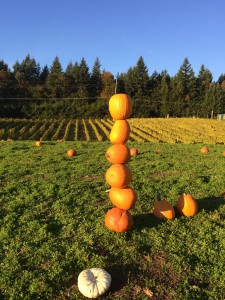 Bainbridge Island Real Estate