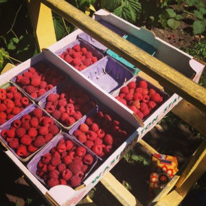 Local food on Bainbridge Island