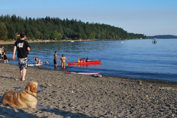 Lyle Beach Bainbridge Island
